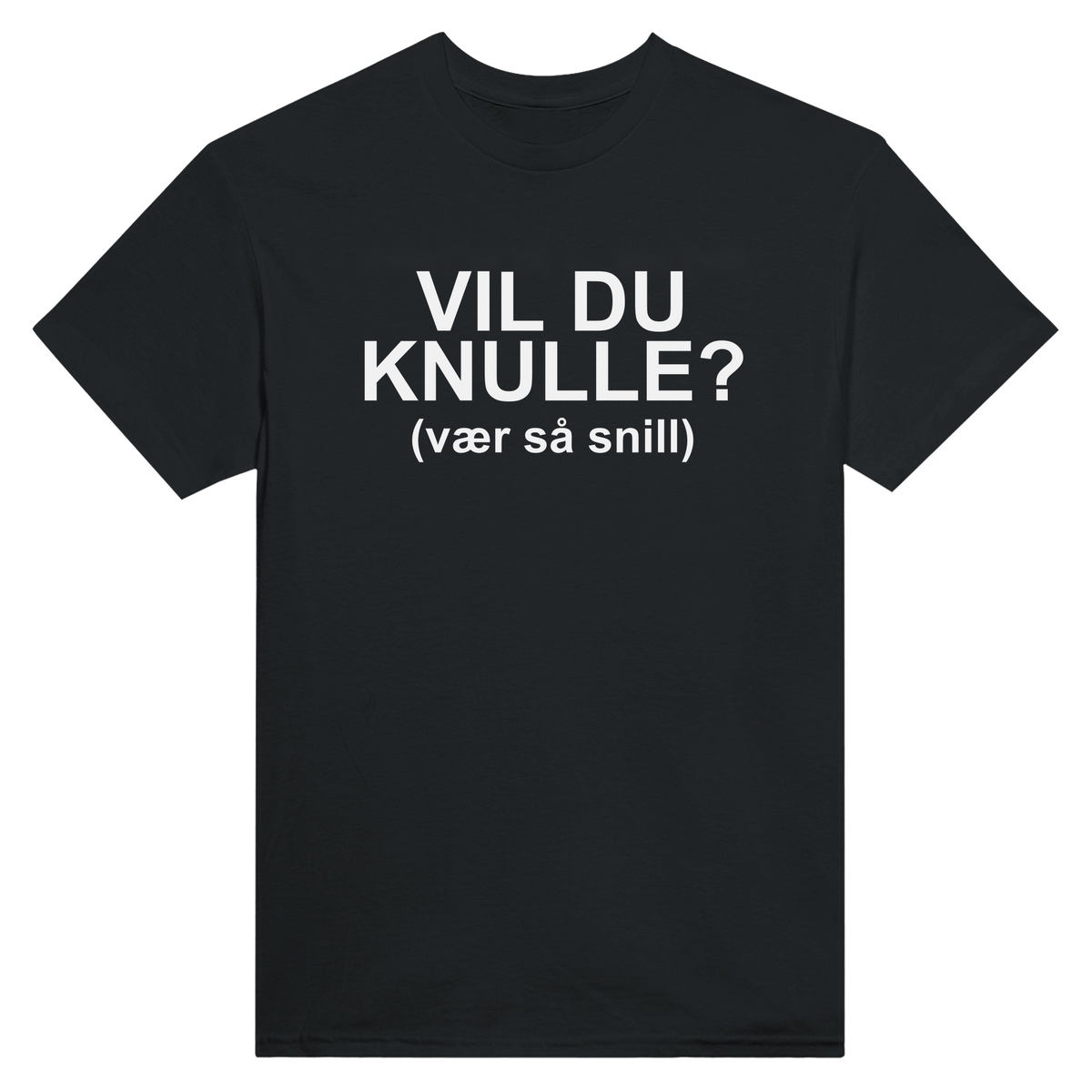 Vil du knulle? (vær så snill) - t-skjorte – Black