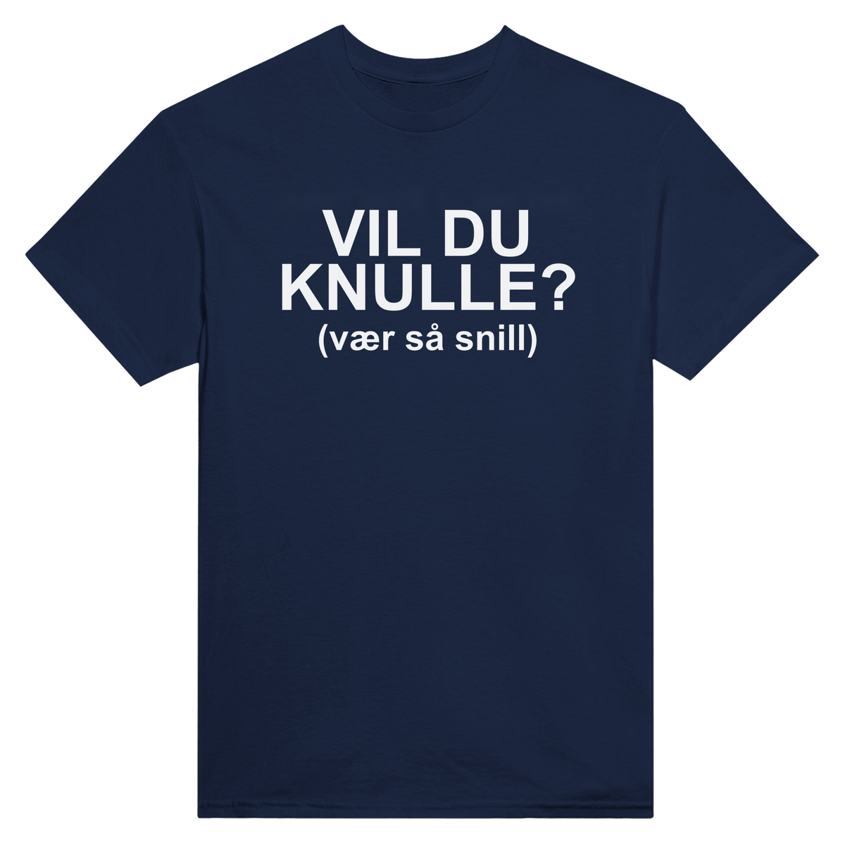 Vil du knulle? (vær så snill) - t-skjorte – Navy