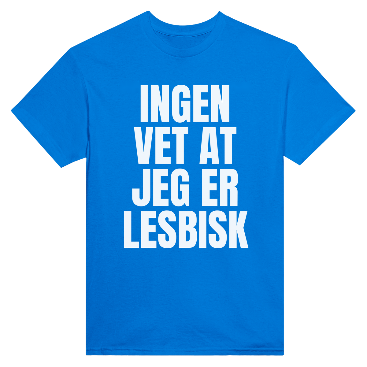 Ingen vet at jeg er lesbisk - t-skjorte – Royal