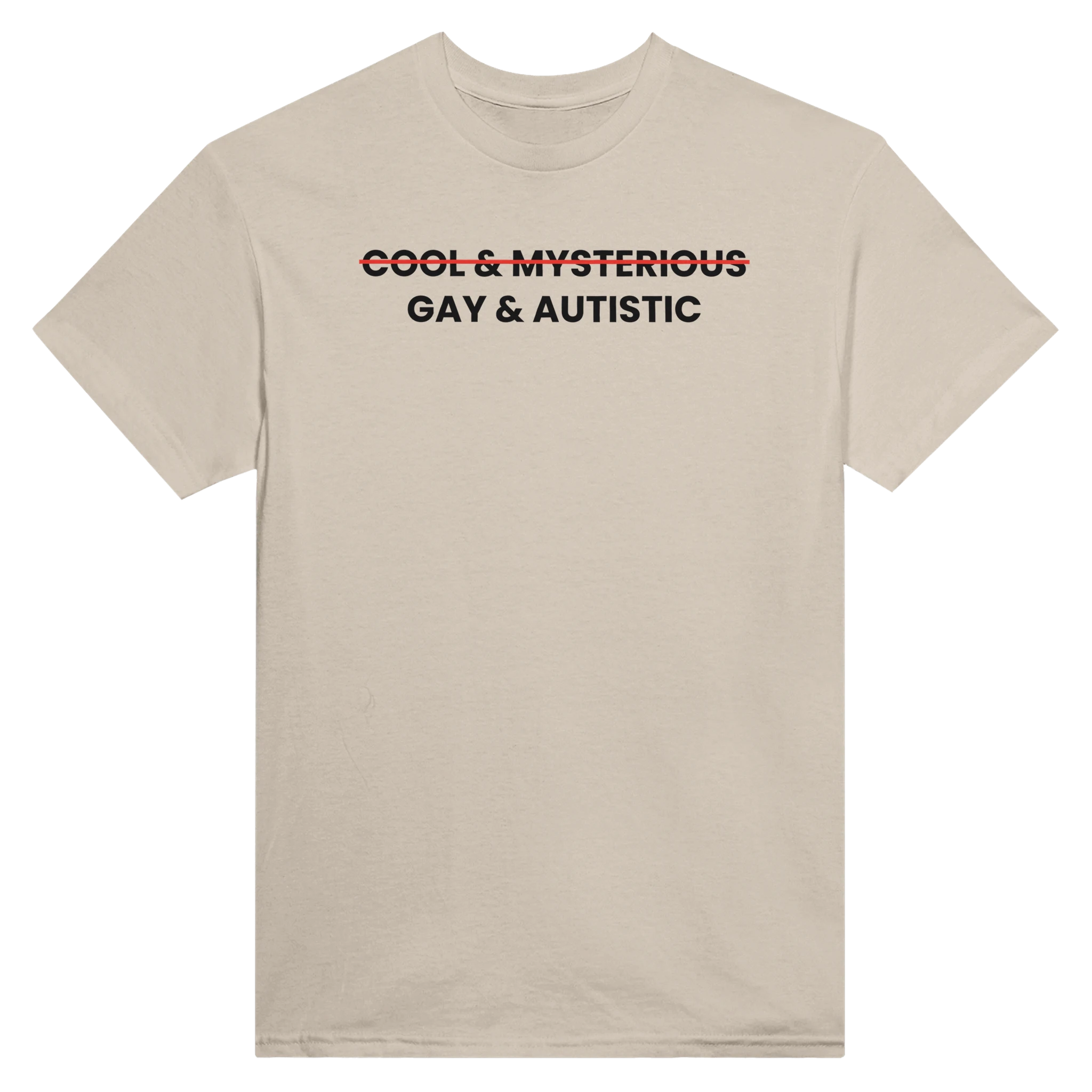(cool & mysterious) gay & autistic – morsom t-skjorte fra Køddeklær