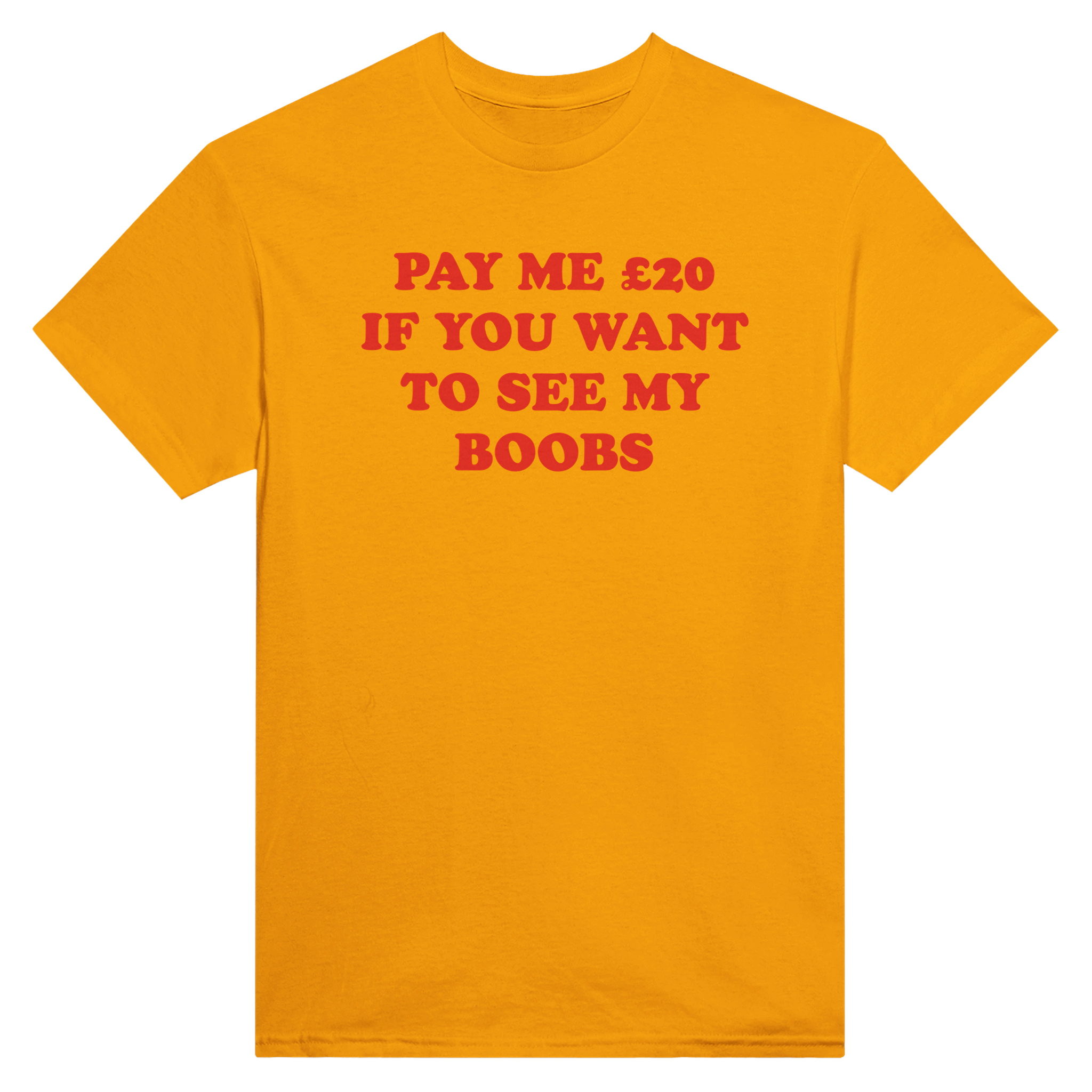 Pay me $20 if you want to see my boobs – morsom t-skjorte fra Køddeklær