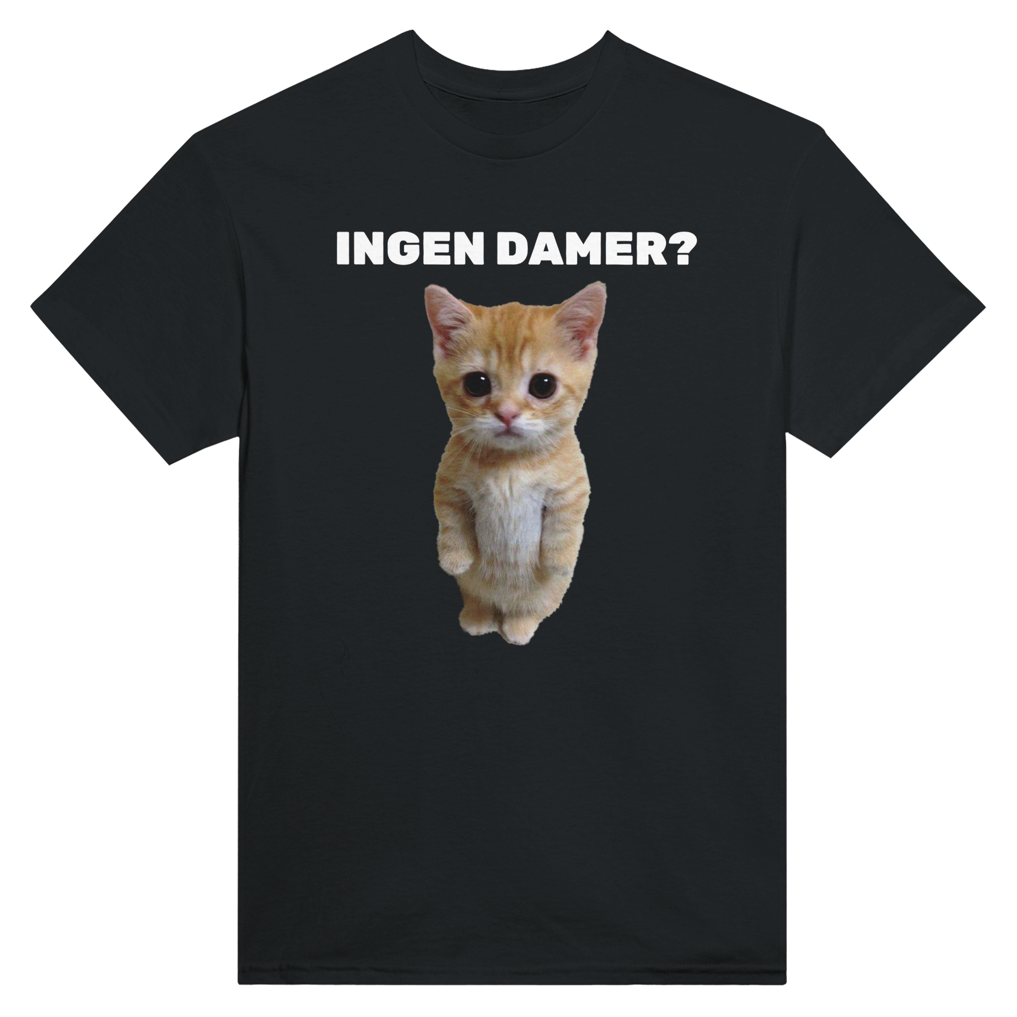 Ingen damer katt – morsom t-skjorte fra Køddeklær