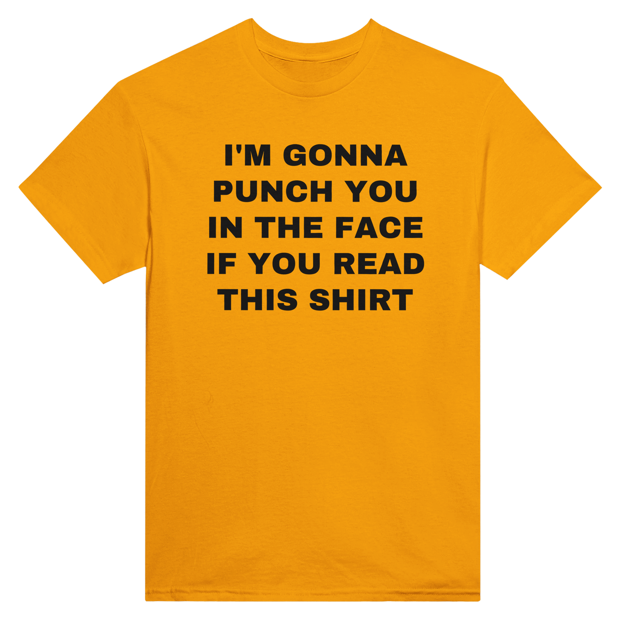 I'm gonna punch you in the face if you read this shirt – morsom t-skjorte fra Køddeklær
