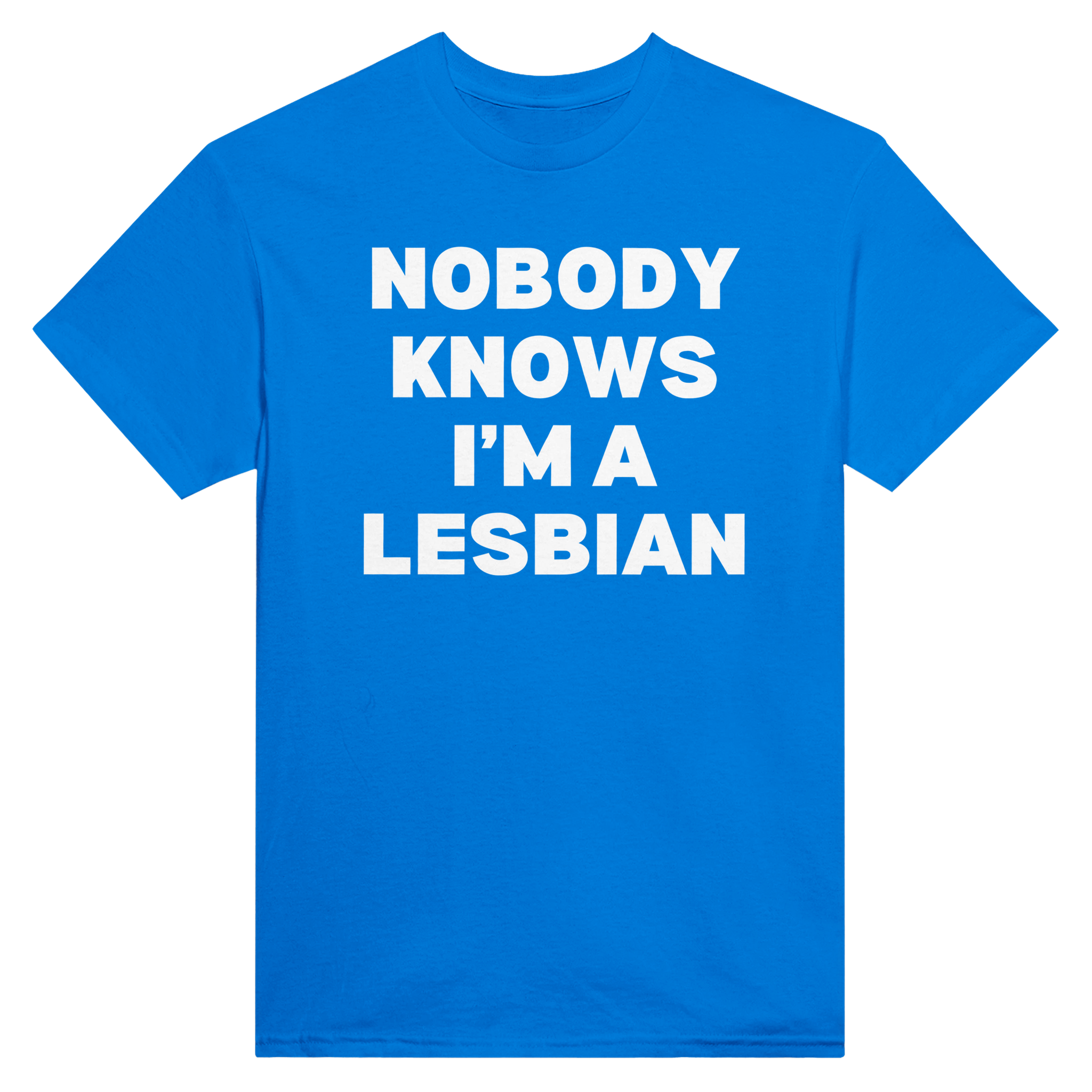Nobody knows i'm a lesbian – morsom t-skjorte fra Køddeklær
