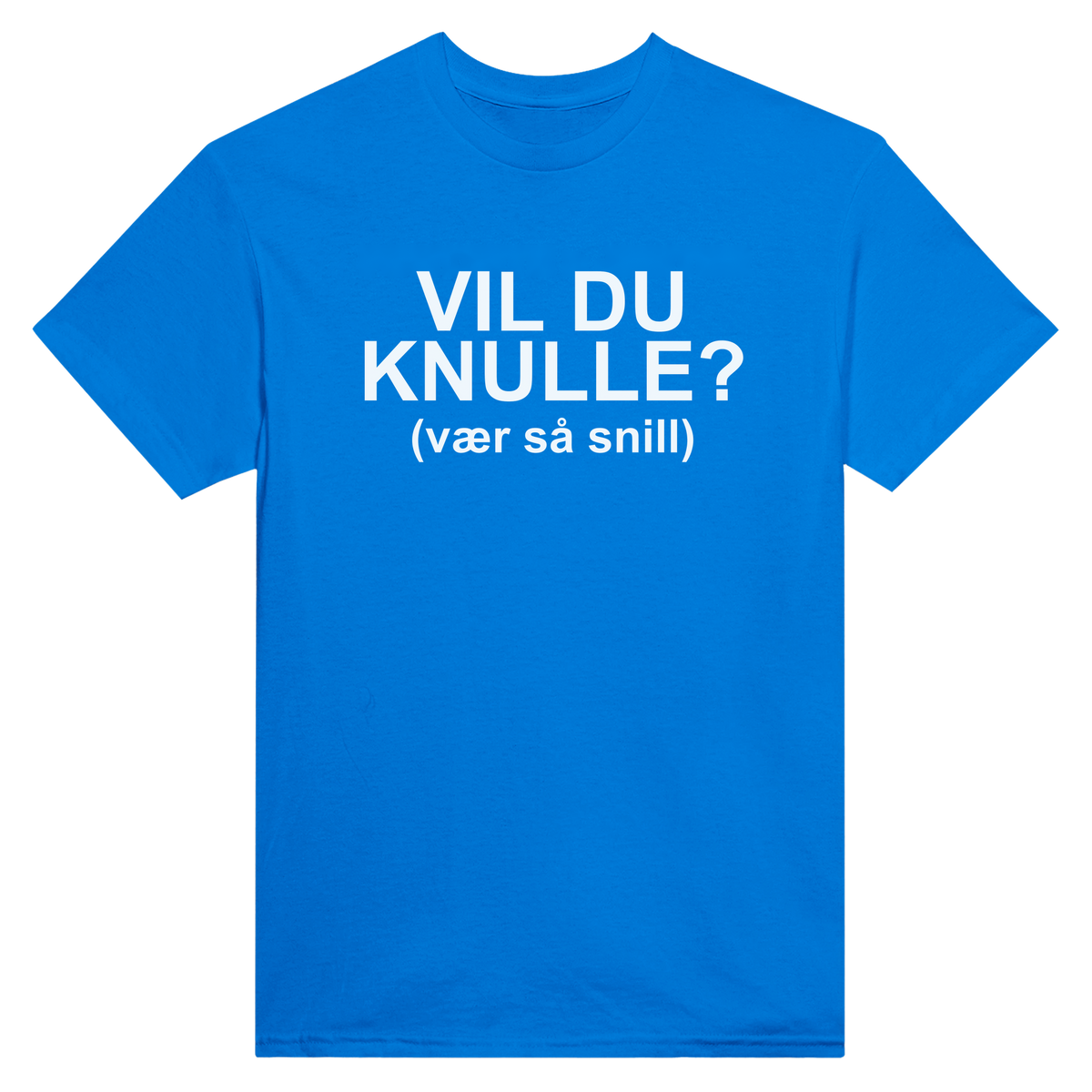 Vil du knulle? (vær så snill) - t-skjorte – Royal