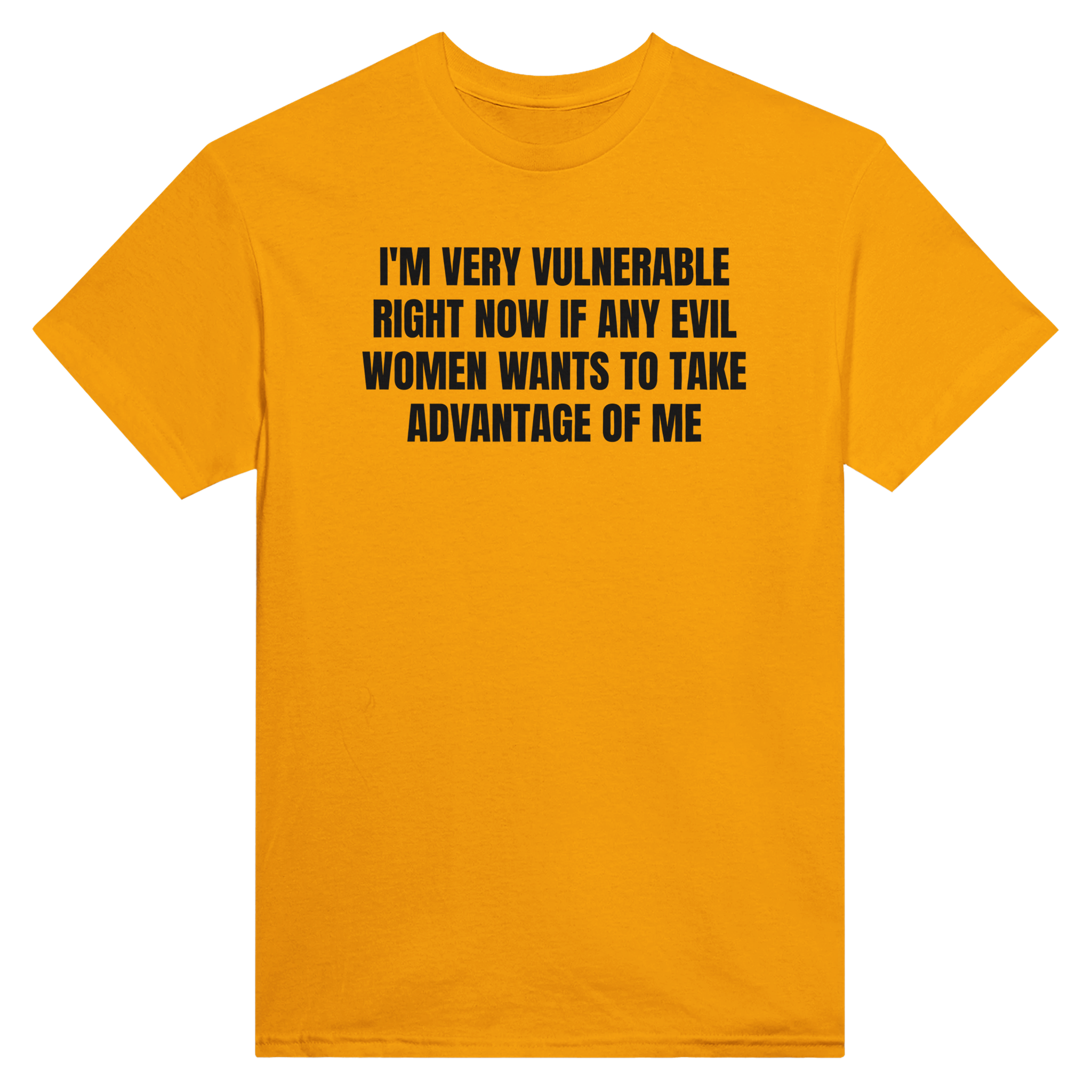 I'm very vulnerable right now if any evil women wants to take advantage of me – morsom t-skjorte fra Køddeklær