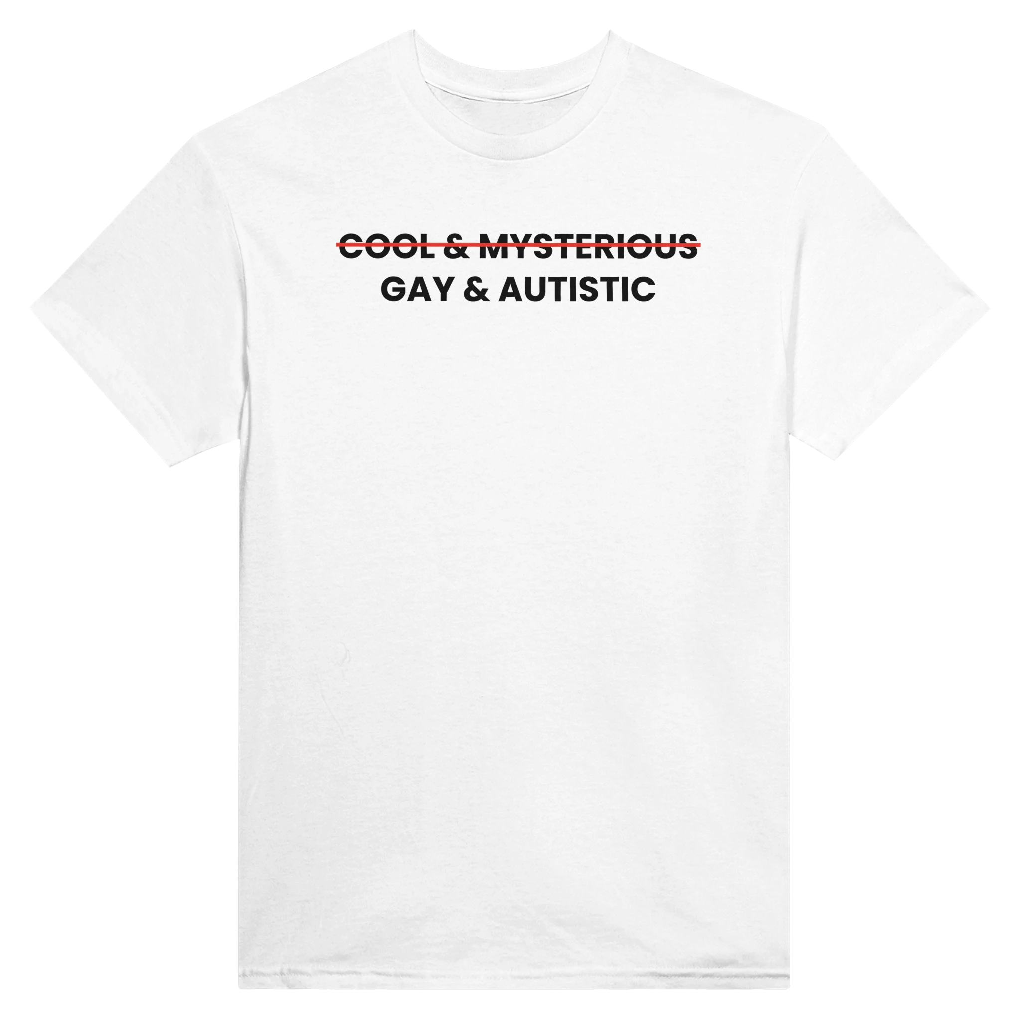 (cool & mysterious) gay & autistic – morsom t-skjorte fra Køddeklær