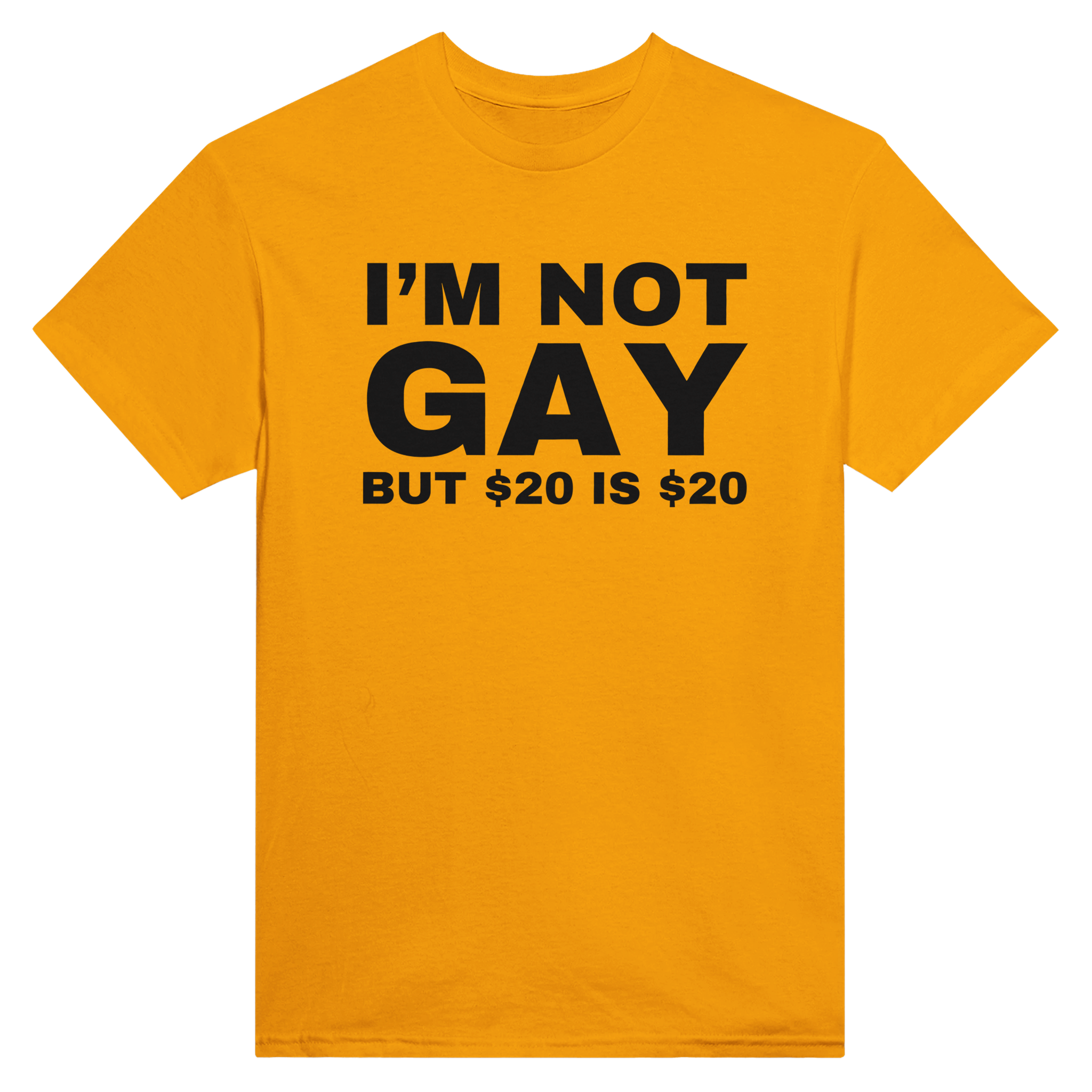I'm not gay but $20 is $20 – morsom t-skjorte fra Køddeklær