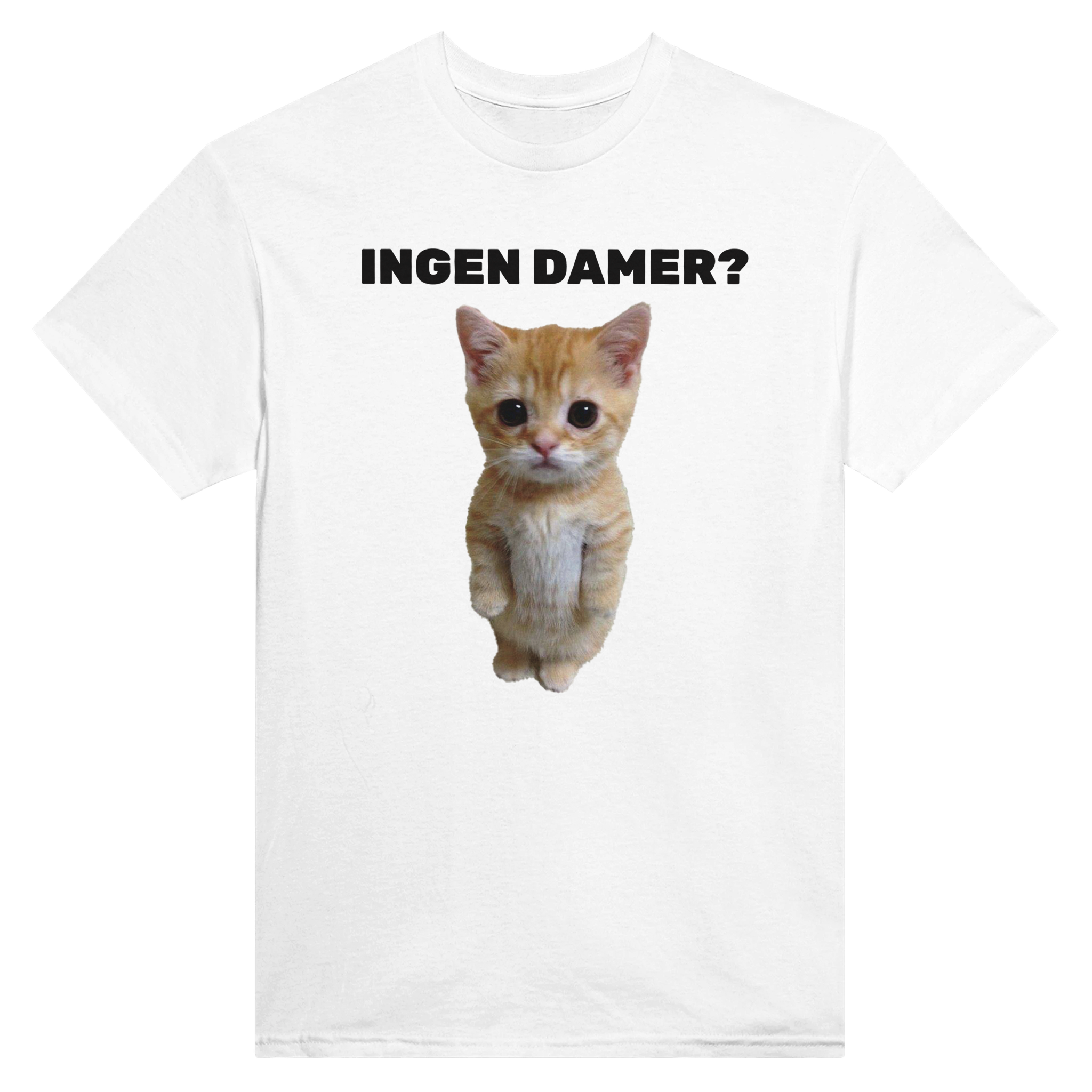 Ingen damer katt – morsom t-skjorte fra Køddeklær