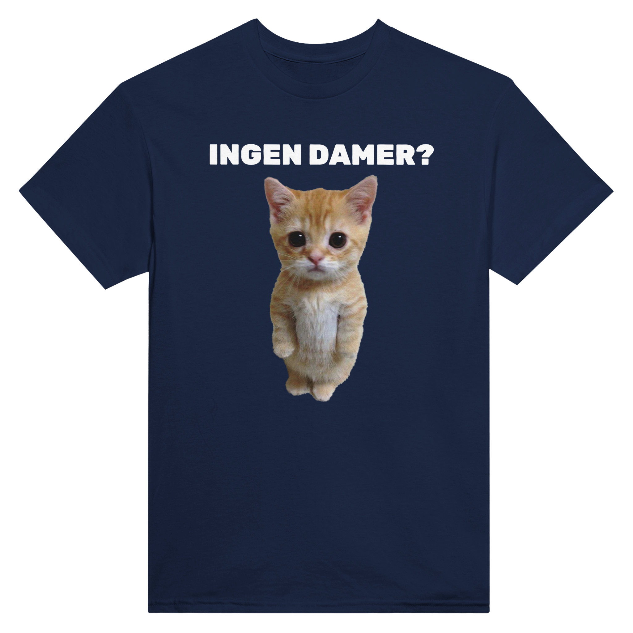 Ingen damer katt – morsom t-skjorte fra Køddeklær